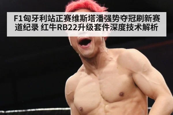 F1匈牙利站正赛维斯塔潘强势夺冠刷新赛道纪录 红牛RB22升级套件深度技术解析