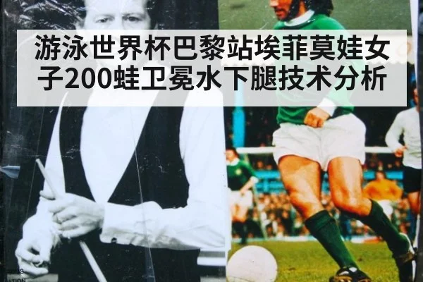 游泳世界杯巴黎站埃菲莫娃女子200蛙卫冕水下腿技术分析